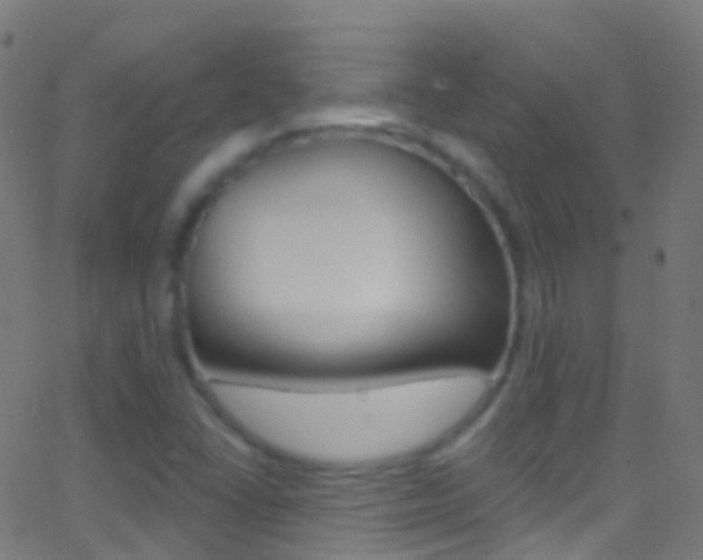X0000062841406200601130928