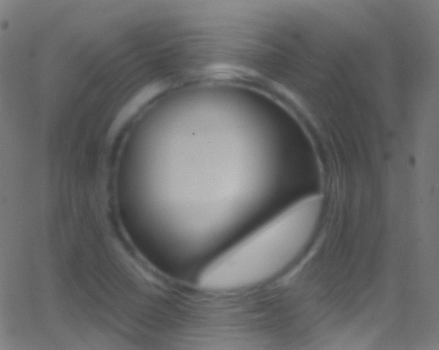 X0000062841410200601130928