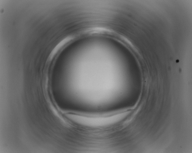 X0000062841418200601130928