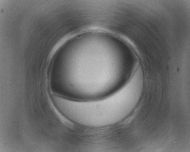 X0000062841430200601130929