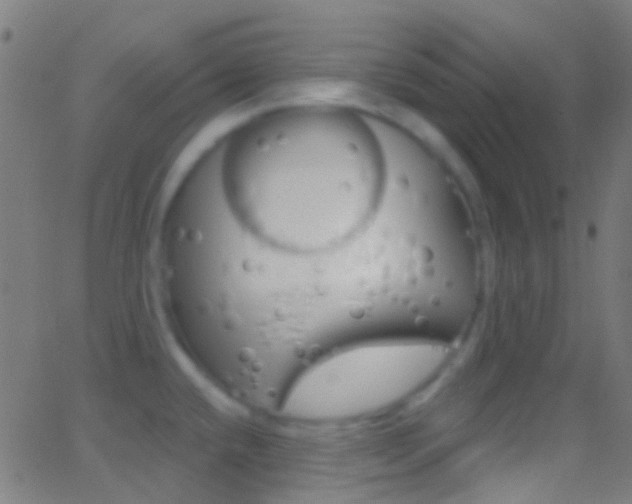 X0000062841432200601130929