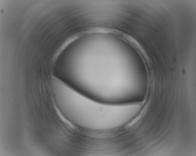 X0000062841433200601130929