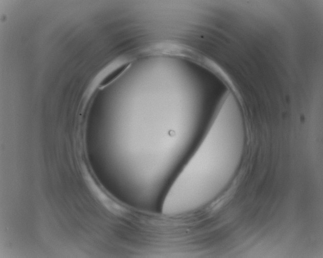X0000062841434200601130929