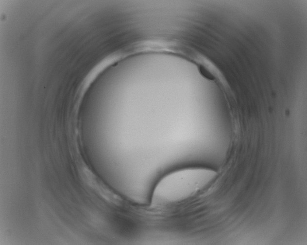 X0000062841435200601130929