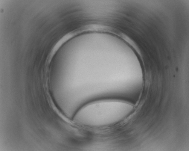 X0000062841437200601130929