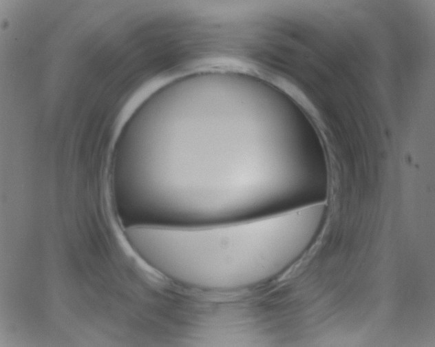 X0000062841440200601130929