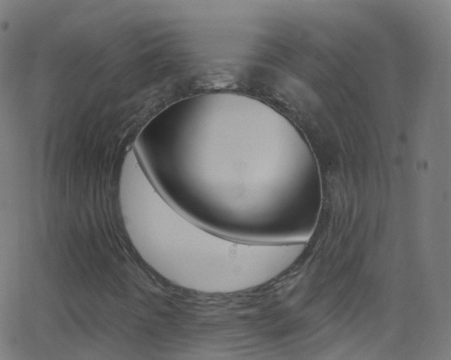 X0000062841442200601130928