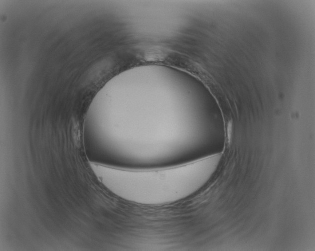 X0000062841443200601130928