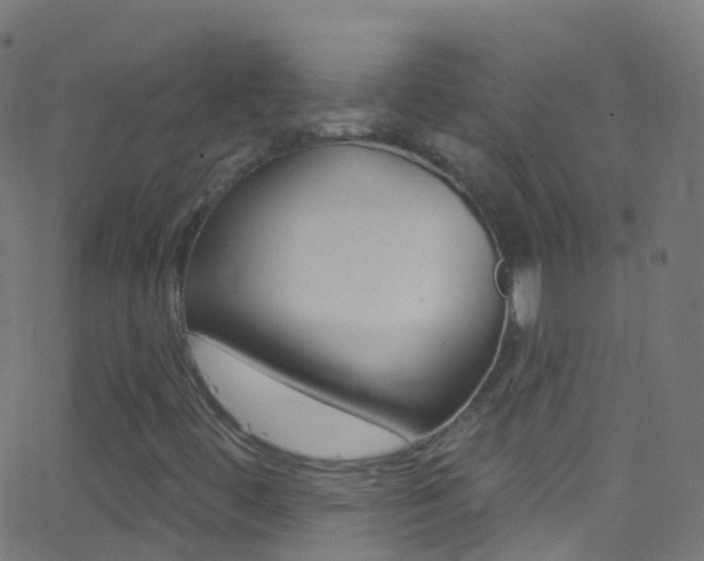 X0000062841444200601130928