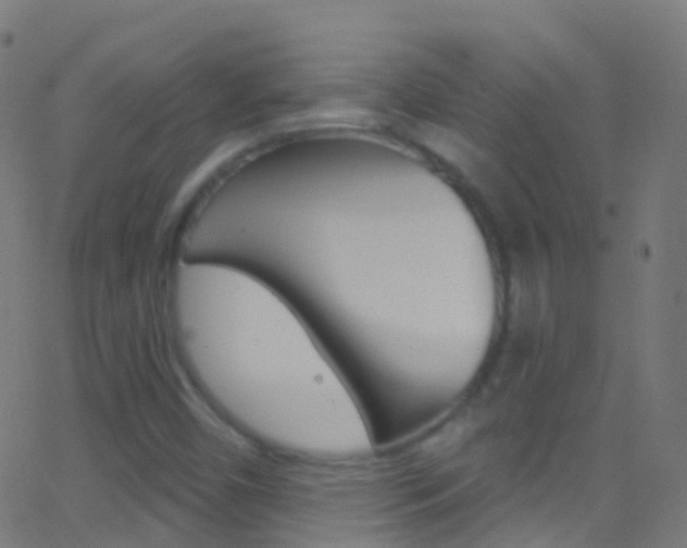 X0000062841450200601130928