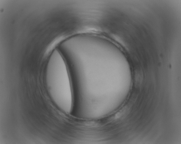 X0000062841455200601130928