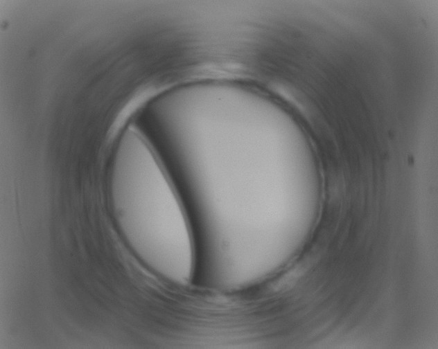 X0000062841459200601130928