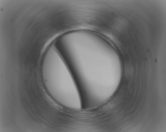 X0000062841460200601130928