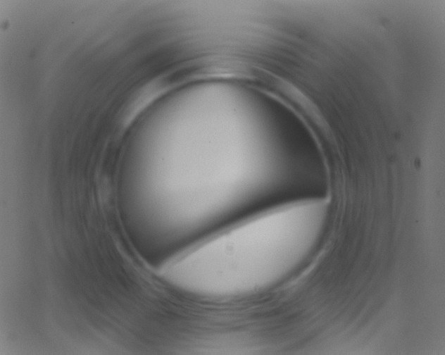 X0000062841465200601130928