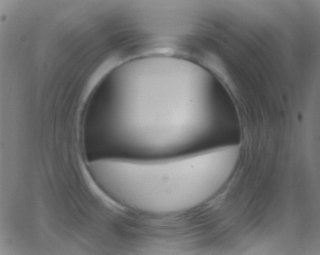 X0000062841483200601130927