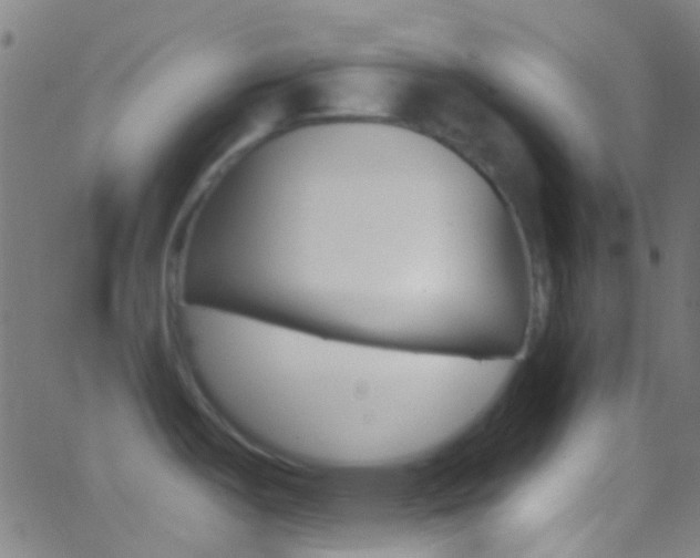 X0000062841487200601130927
