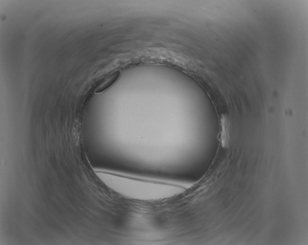 X0000062841491200601130926