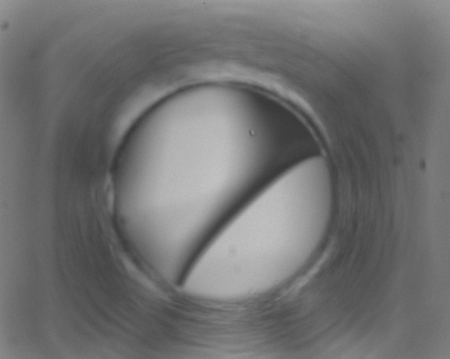 X0000062841509200601130927