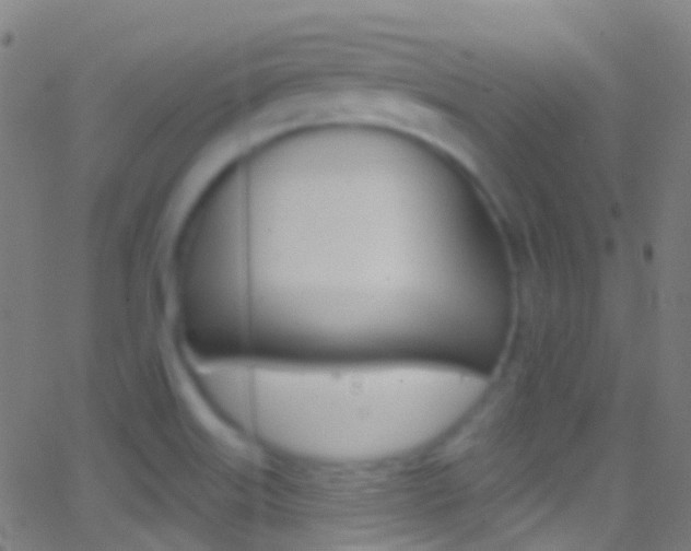 X0000062841515200601130927