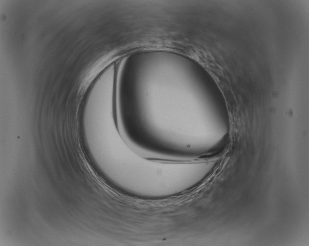 X0000062840005200601131336