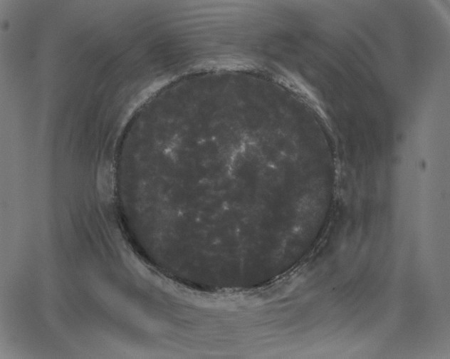 X0000062840012200601131336