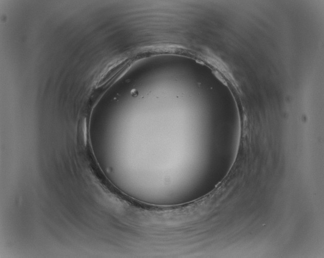 X0000062840013200601131336