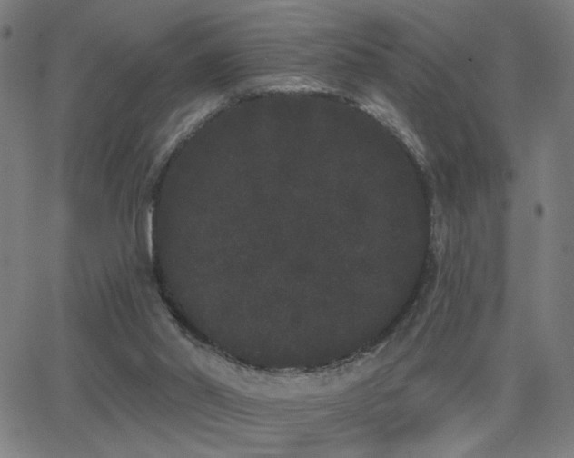 X0000062840014200601131336