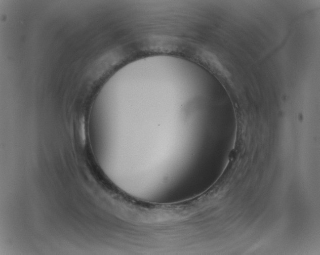 X0000062840020200601131335