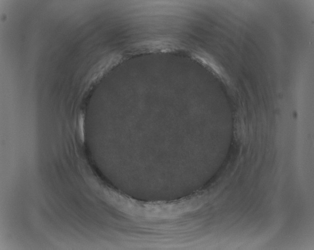 X0000062840022200601131335