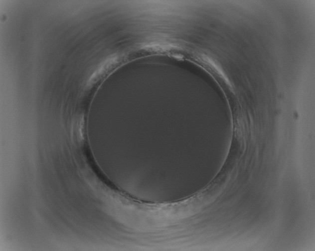 X0000062840023200601131335
