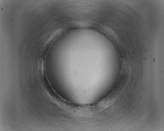 X0000062840024200601131335