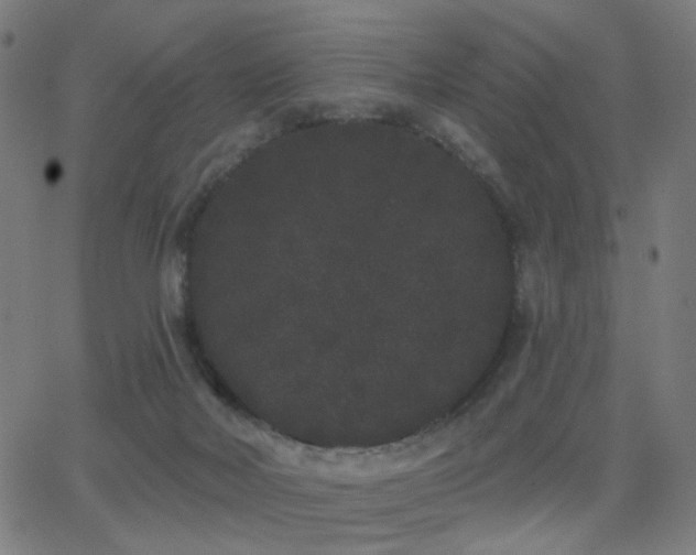 X0000062840026200601131335