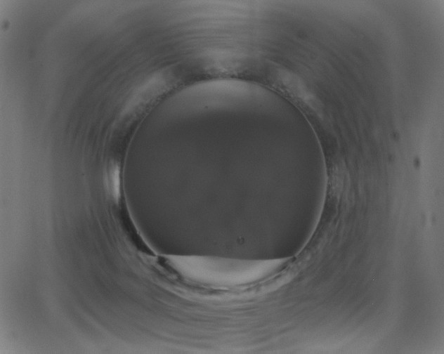 X0000062840027200601131335