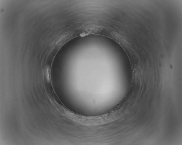 X0000062840042200601131335
