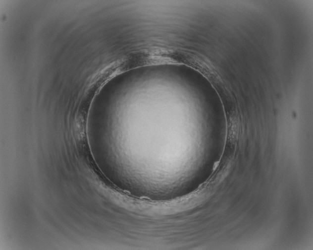 X0000062840043200601131335
