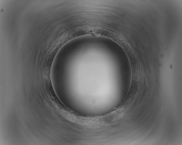 X0000062840044200601131335