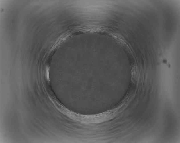 X0000062840046200601131335