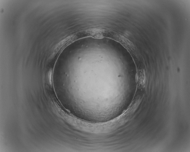 X0000062840047200601131335