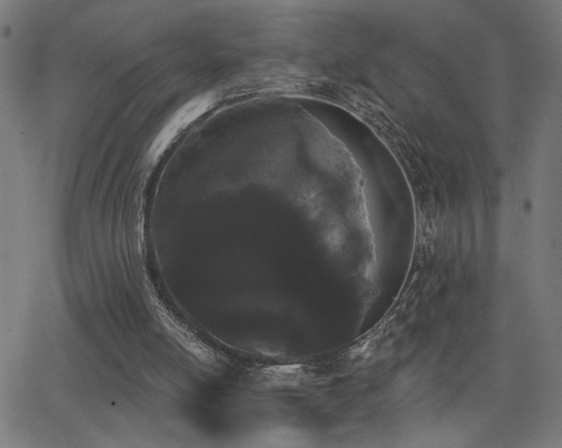 X0000062840054200601131334