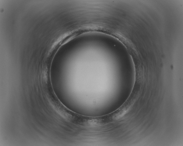 X0000062840064200601131334
