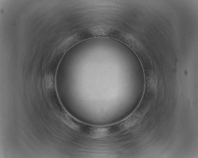 X0000062840081200601131335