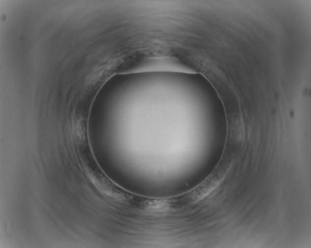 X0000062840088200601131335