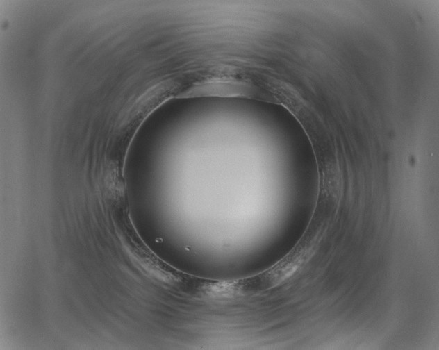 X0000062840092200601131335