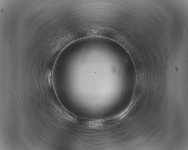 X0000062840094200601131335