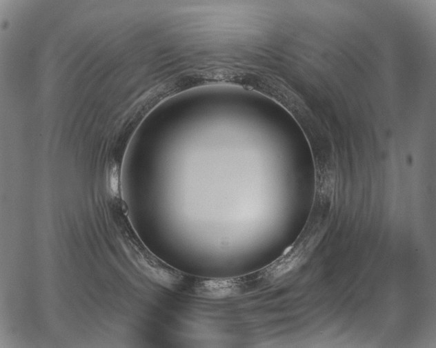 X0000062840095200601131335