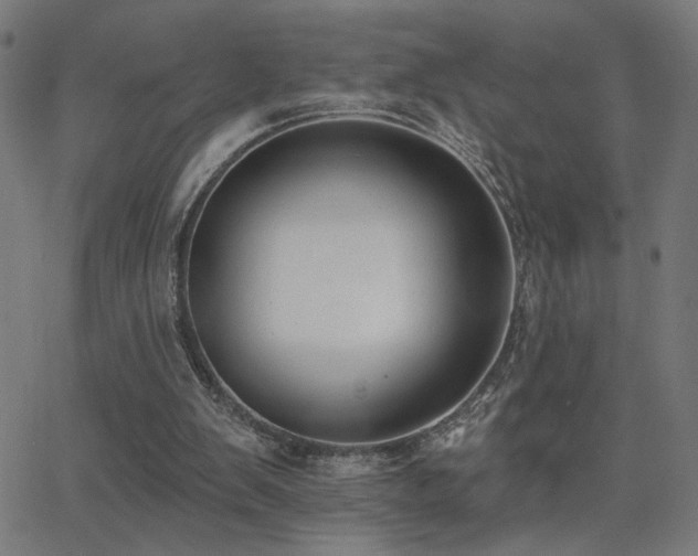 X0000062840103200601131334