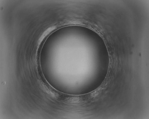 X0000062840104200601131334