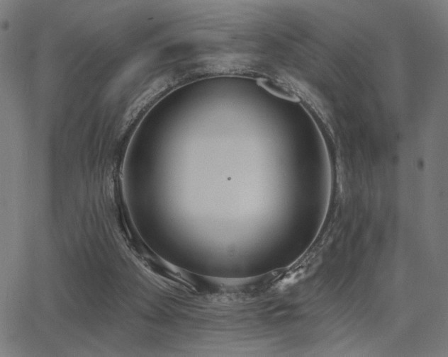 X0000062840105200601131334