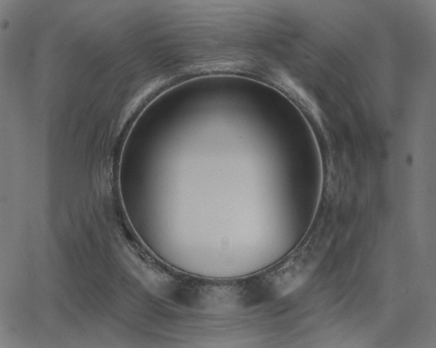 X0000062840107200601131334