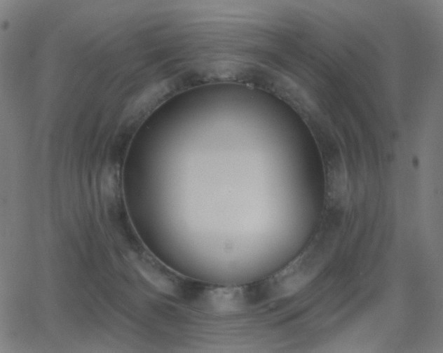 X0000062840126200601131334